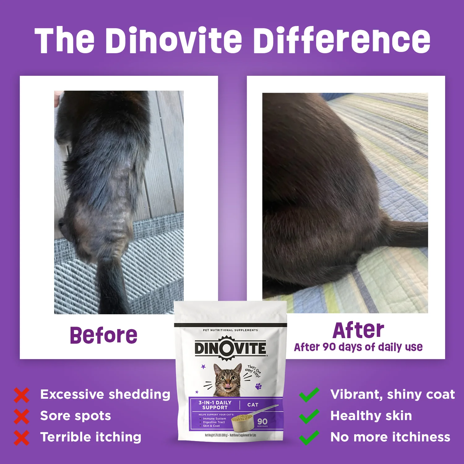 Dinovite for Cats - Image 5