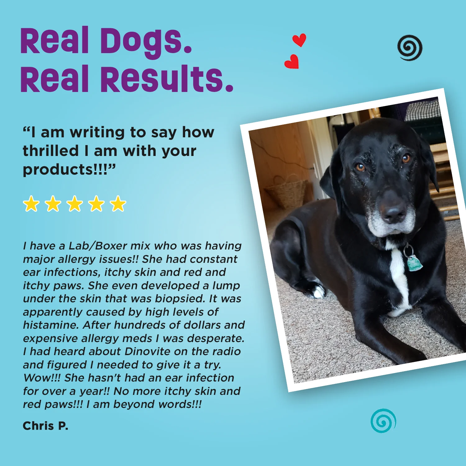 Dinovite for Dogs - Image 9