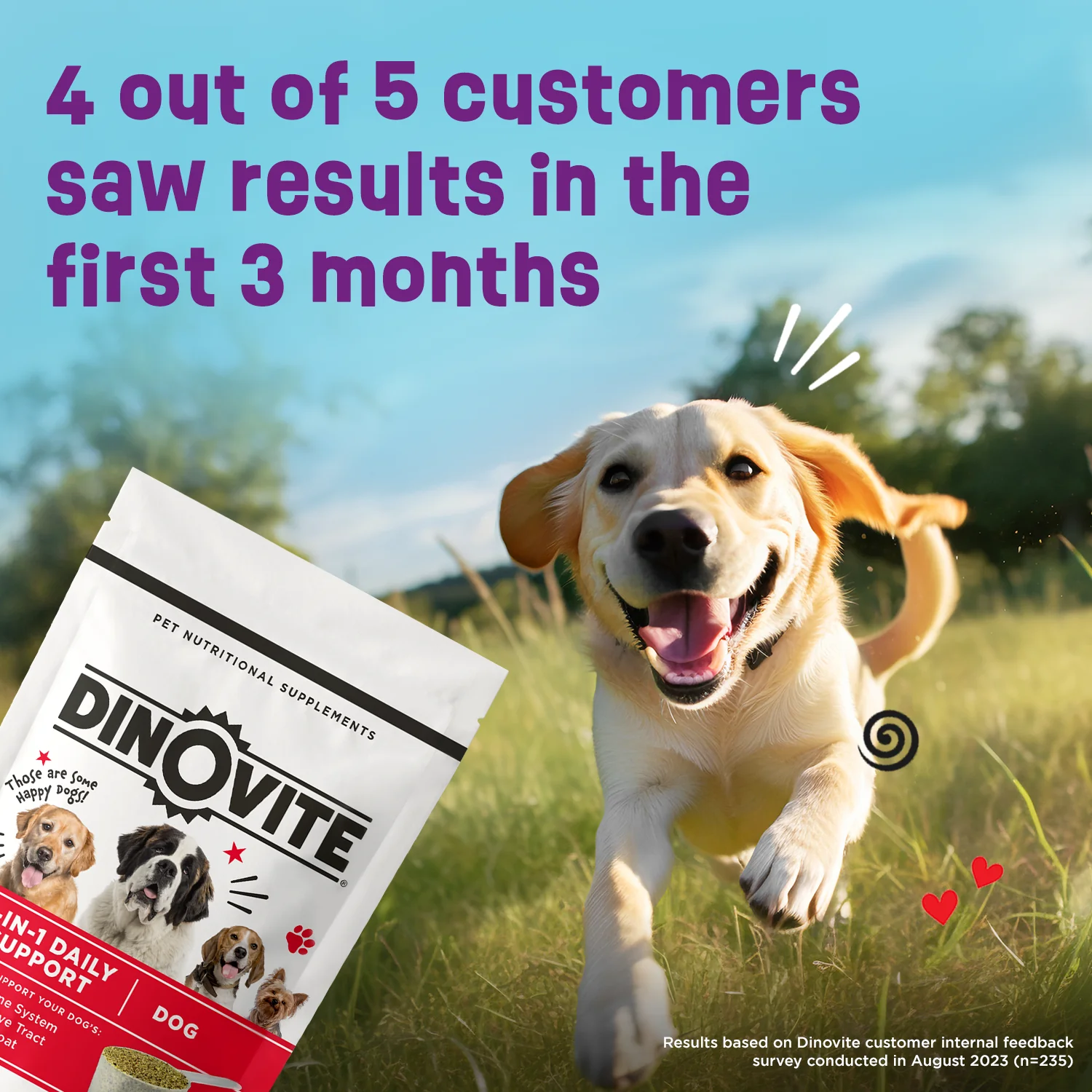 Dinovite for Dogs - Image 10
