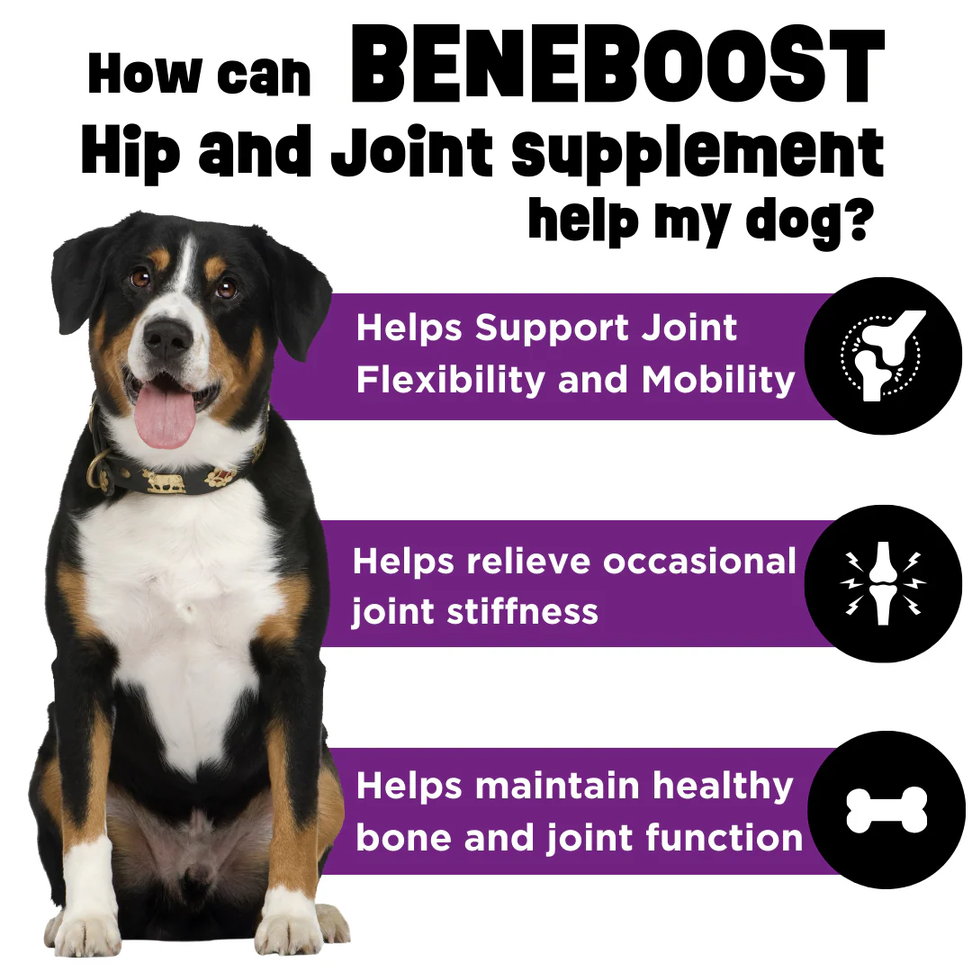 Beneboost Hip & Joint - Image 4