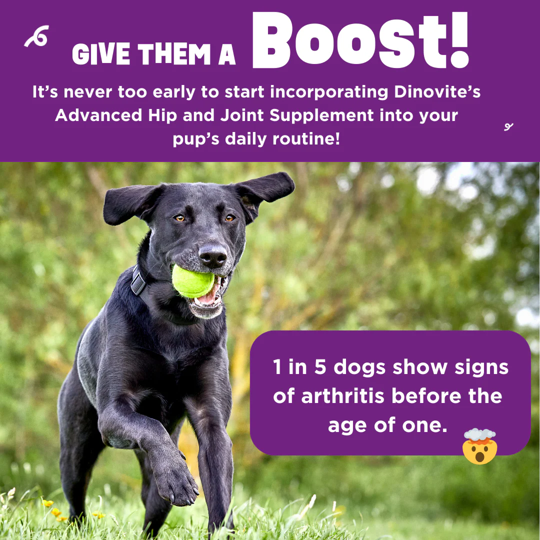 Beneboost Hip & Joint - Image 7