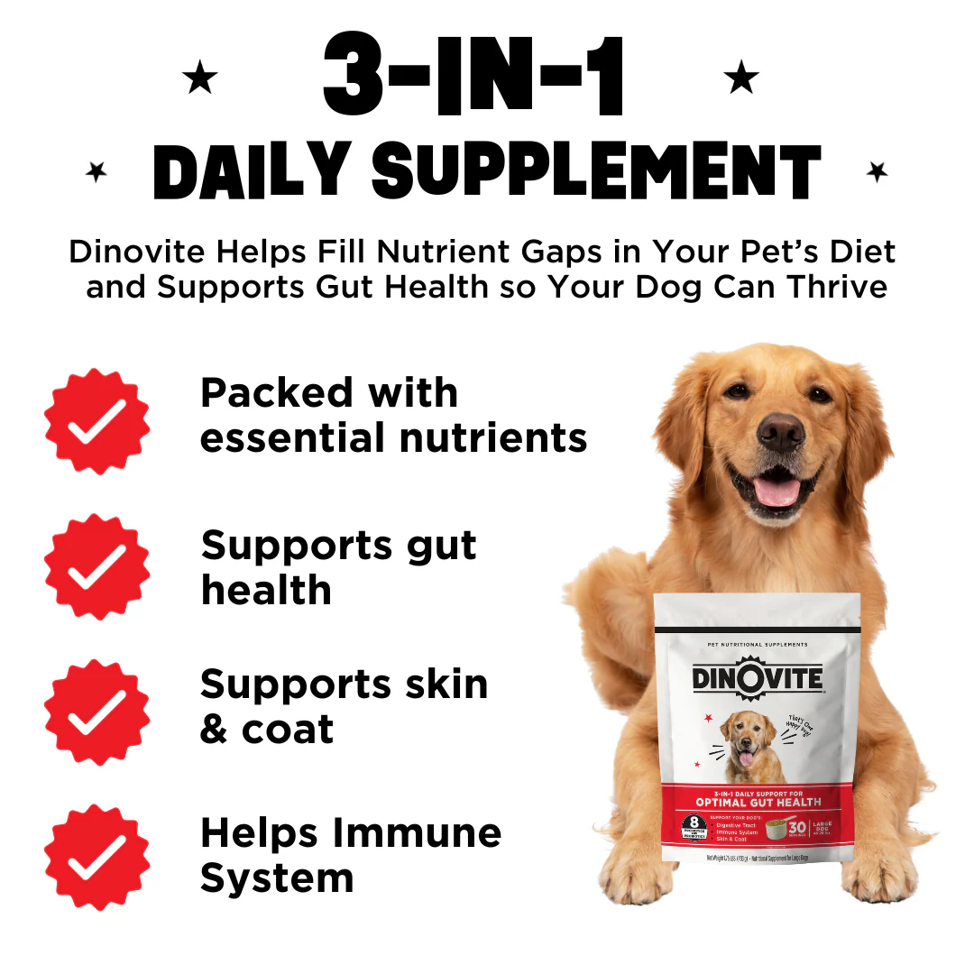 Best In Show Starter Bundle - Image 3