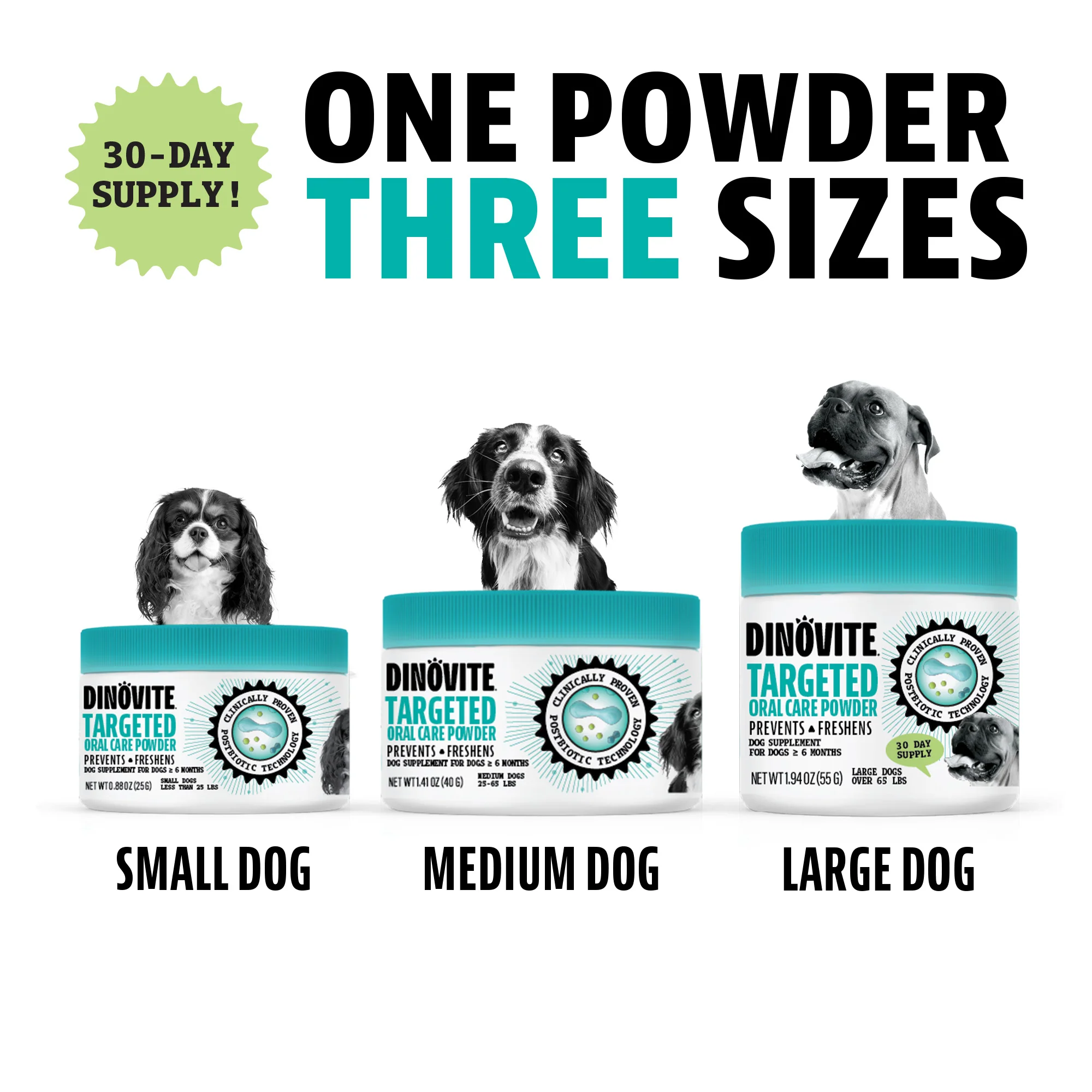 Dental Powder for Dogs - Image 5