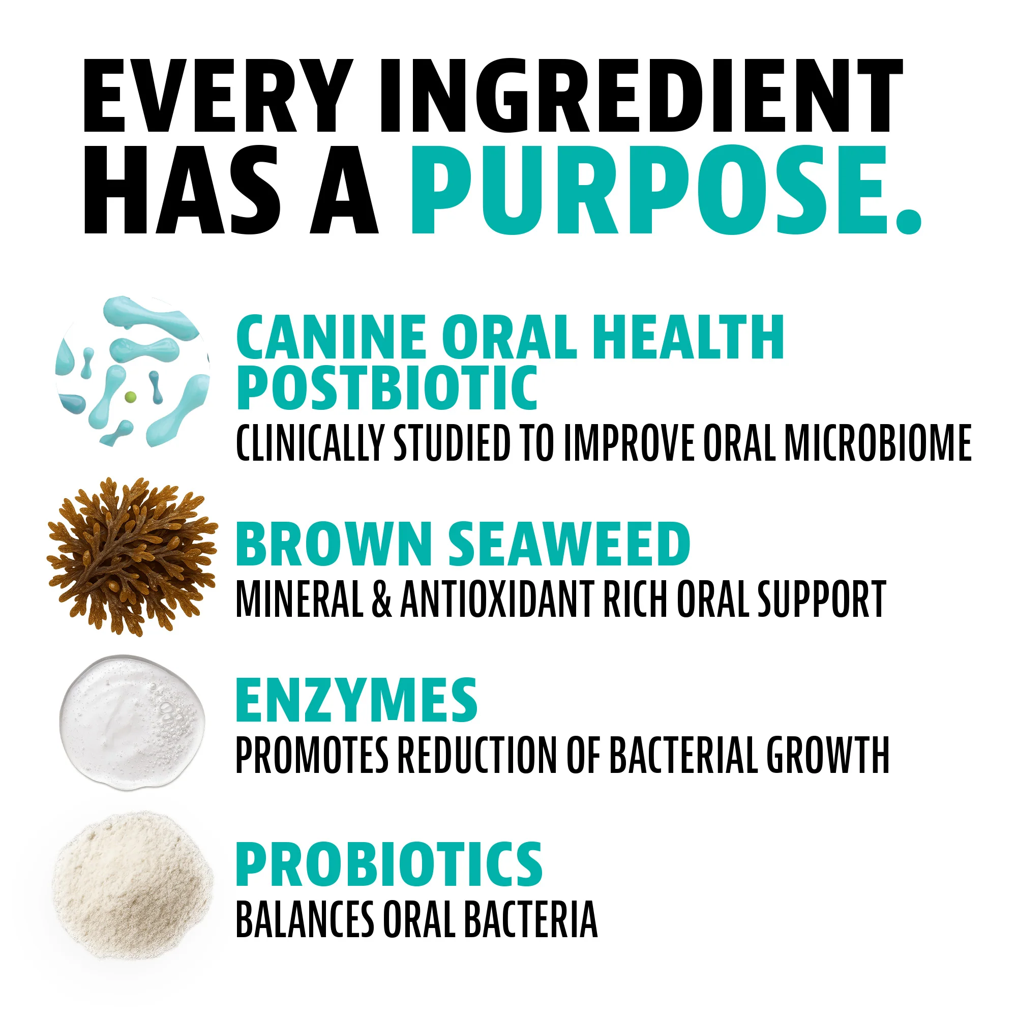 Dental Powder for Dogs - Image 7