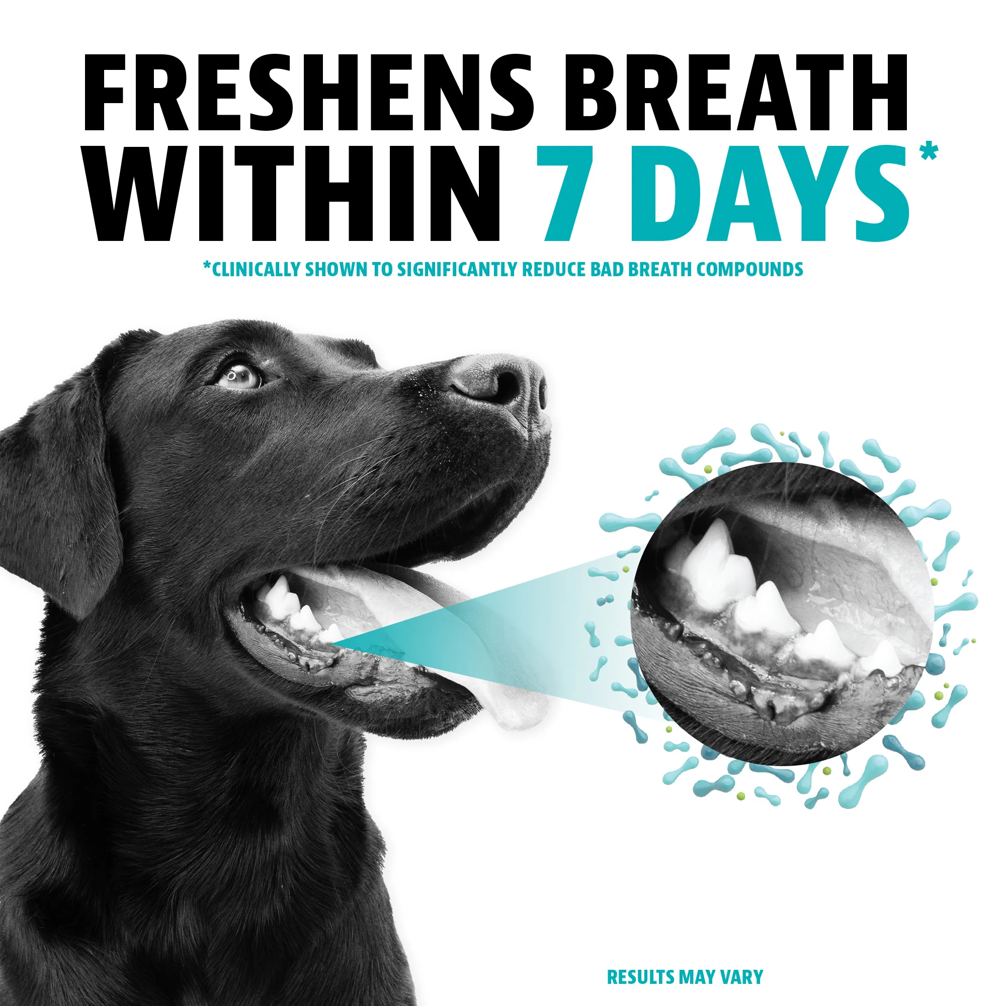 Dental Powder for Dogs - Image 9